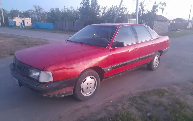 Audi 100 1983 года за 500 000 тг. в Павлодар