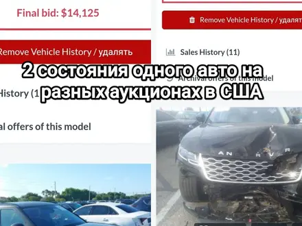 Юридическая проверка документов машины на Криминал Угон Проверка по VIN ВИН в Актобе – фото 11