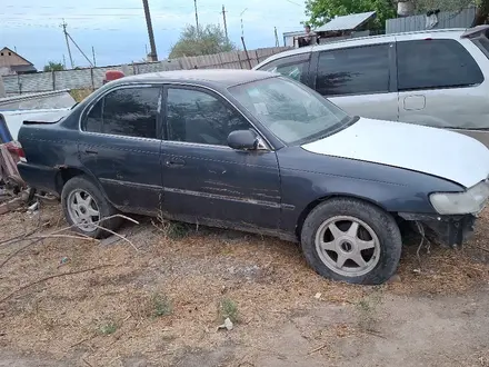 Toyota Corolla 1995 года за 550 000 тг. в Алматы