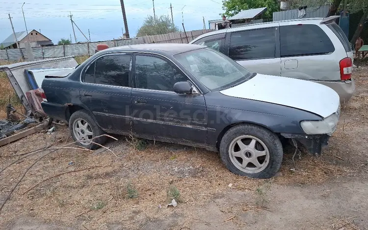 Toyota Corolla 1995 годаүшін550 000 тг. в Алматы