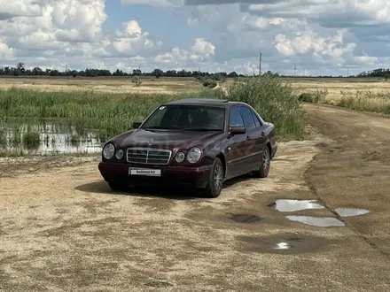 Mercedes-Benz E 230 1996 года за 2 000 000 тг. в Зеренда – фото 6