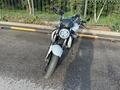 Suzuki  SFV 650 Gladius 2009 годаfor2 450 000 тг. в Алматы – фото 3