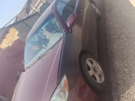 Toyota Camry 2003 года за 4 000 000 тг. в Тараз – фото 3