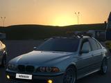 BMW 525 2001 годаүшін4 600 000 тг. в Алматы