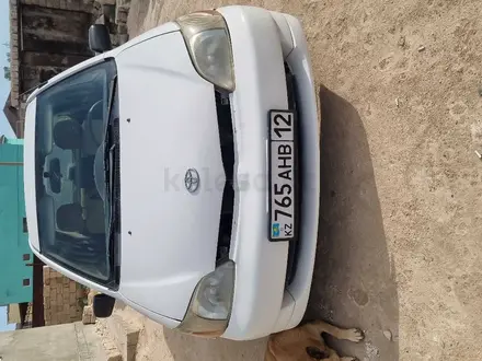 Toyota Echo 2001 года за 2 400 000 тг. в Жанаозен