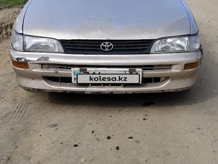 Toyota Corolla 1994 года за 1 300 000 тг. в Семей