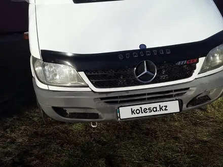 Mercedes-Benz Sprinter 2014 года за 14 700 000 тг. в Усть-Каменогорск – фото 6