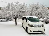 Toyota Alphard 2008 года за 6 200 000 тг. в Актау – фото 2