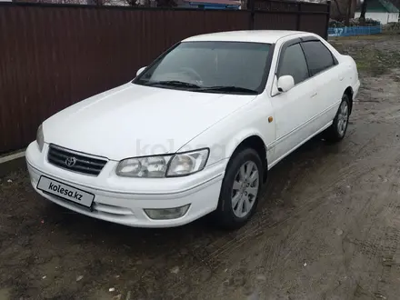 Toyota Camry Gracia 2000 года за 3 900 000 тг. в Талдыкорган