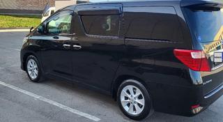 Toyota Alphard 2011 года за 12 500 000 тг. в Тараз