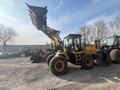 XCMG  XCMG LW300FN.LW300KN.XC936.LW500FN.ZL50GN 2025 года в Астана – фото 14
