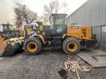 XCMG  XCMG LW300FN.LW300KN.XC936.LW500FN.ZL50GN 2025 года в Астана – фото 38