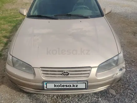 Toyota Camry 1998 года за 2 600 000 тг. в Шымкент
