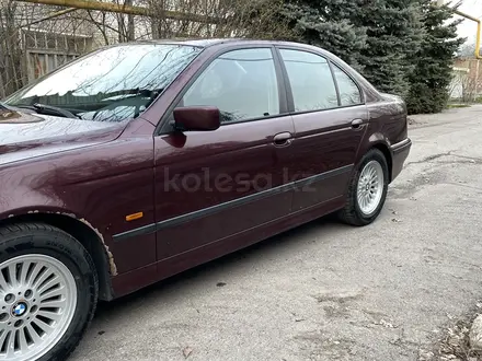 BMW 523 1997 года за 3 150 000 тг. в Алматы – фото 2