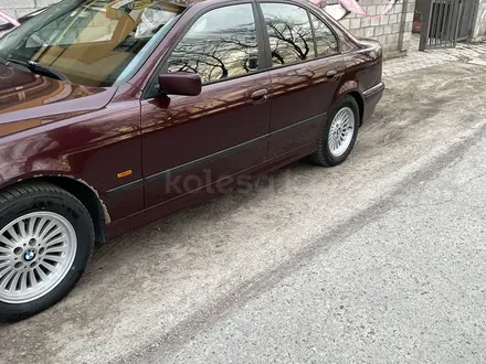 BMW 523 1997 года за 3 150 000 тг. в Алматы – фото 4