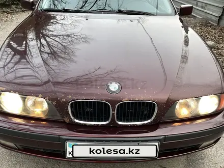BMW 523 1997 года за 3 150 000 тг. в Алматы – фото 6