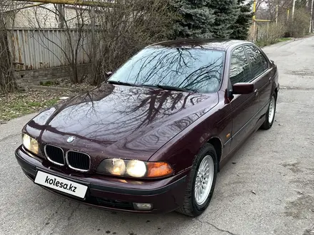 BMW 523 1997 года за 3 150 000 тг. в Алматы – фото 20