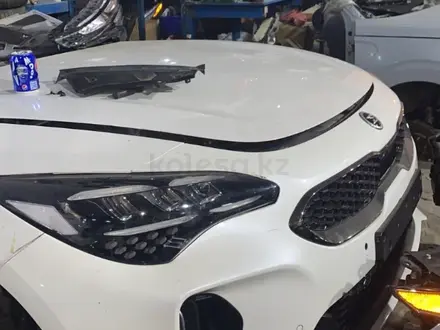 Автозапчасти На Kia-Hyundai в Алматы – фото 8