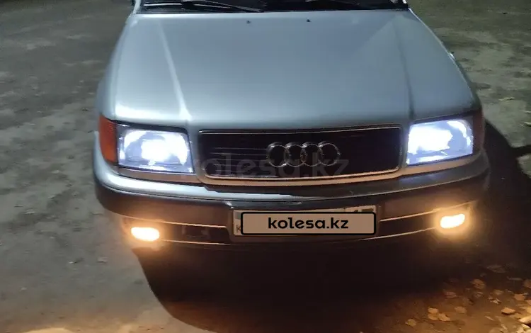 Audi 100 1992 года за 2 050 000 тг. в Петропавловск