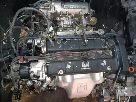 Двигатель и Акпп Honda h23a за 300 000 тг. в Алматы – фото 5