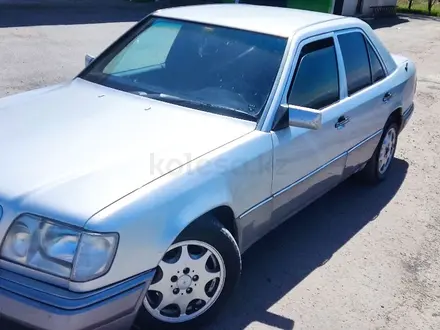 Mercedes-Benz E 220 1993 года за 1 800 000 тг. в Кордай