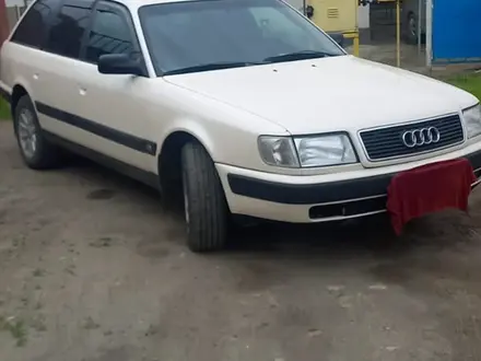 Audi 100 1992 годаүшін3 500 000 тг. в Талдыкорган – фото 2
