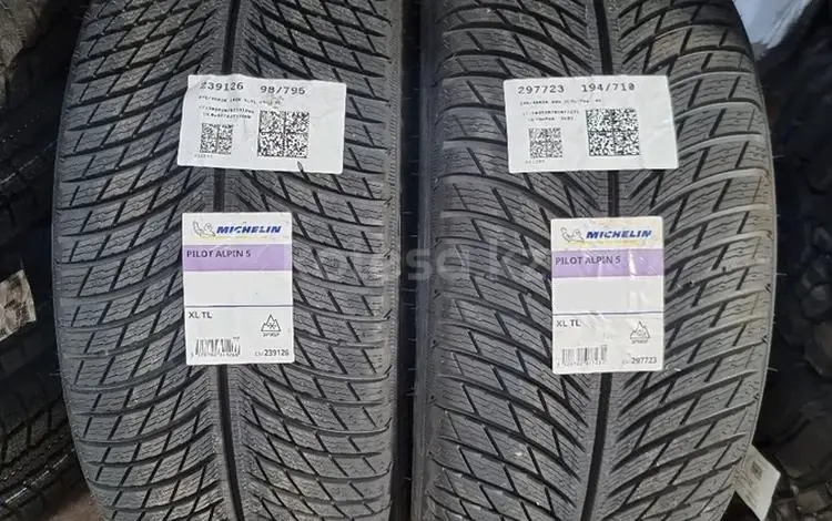 Michelin Pilot Alpine 5 Передние 235/45 R21 Задние 265/40 R21үшін315 000 тг. в Алматы