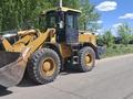 XCMG  LW300 2014 годаүшін8 000 000 тг. в Караганда