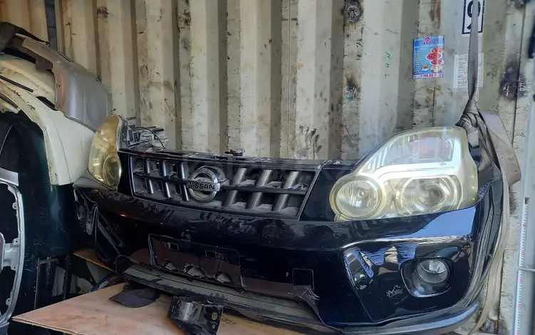 Нускат (морда) привозной за 300 000 тг. в Алматы