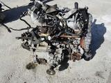 Двигатель на Ниссан Nissan X-trail t30 YD22 за 500 000 тг. в Шымкент – фото 3