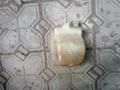 На Mitsubishi Galant бачек расширителяүшін5 000 тг. в Алматы – фото 2