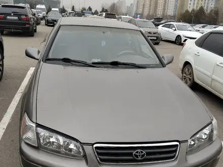 Toyota Camry 2000 года за 3 200 000 тг. в Алматы