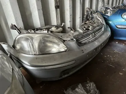 Ноускаты морды передки фары бампера за 5 500 тг. в Алматы – фото 40