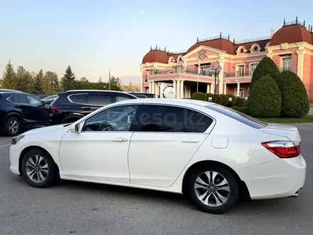 Honda Accord 2013 года за 6 600 000 тг. в Алматы – фото 6