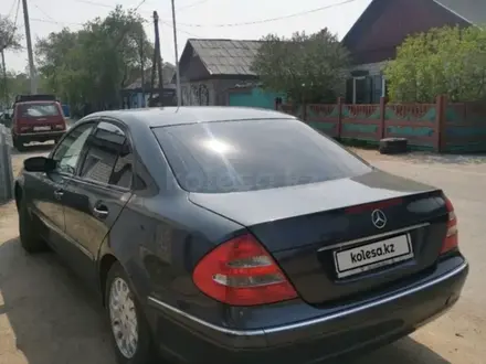 Mercedes-Benz E 240 2002 года за 5 500 000 тг. в Павлодар – фото 3