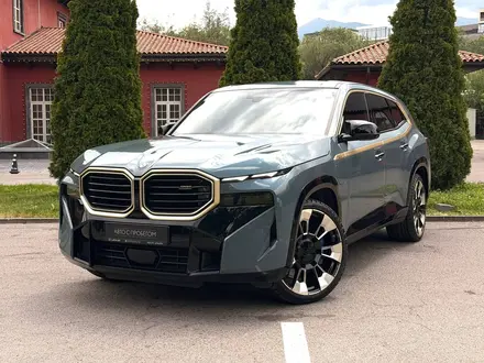 BMW XM, 2023