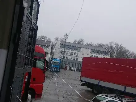 Установка грузовых автостёкл в Алматы – фото 6
