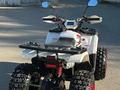  Тао Моtor Cruiser-77S 2023 года за 450 000 тг. в Усть-Каменогорск – фото 7