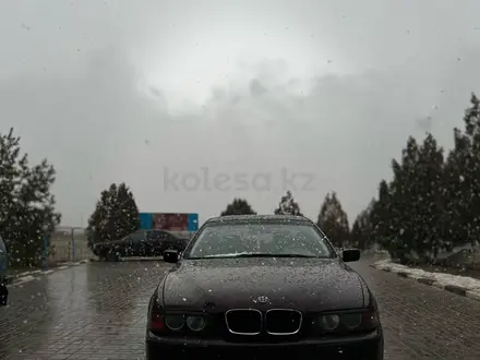 BMW 523 1998 года за 2 600 000 тг. в Тараз – фото 7