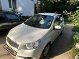 Chevrolet Aveo 2012 года за 3 400 000 тг. в Уральск