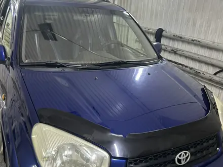 Toyota RAV4 2004 года за 4 510 000 тг. в Усть-Каменогорск – фото 2
