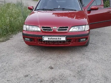 Nissan Primera 1998 года за 2 400 000 тг. в Усть-Каменогорск – фото 20