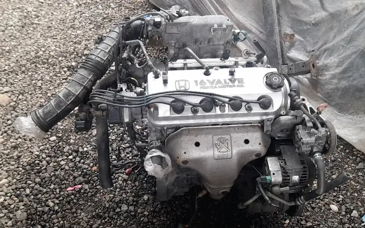 Мотор 2.3Л на Honda F23A за 350 000 тг. в Алматы