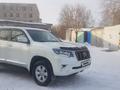Toyota Land Cruiser Prado 2019 годаүшін23 900 000 тг. в Петропавловск – фото 2