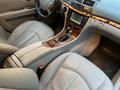 Mercedes-Benz E 350 2006 годаүшін6 800 000 тг. в Алматы – фото 15