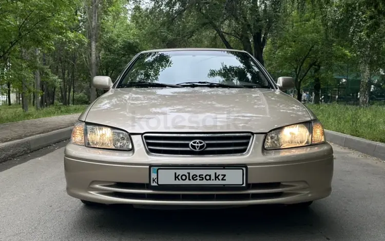 Toyota Camry 1999 годаүшін3 500 000 тг. в Алматы