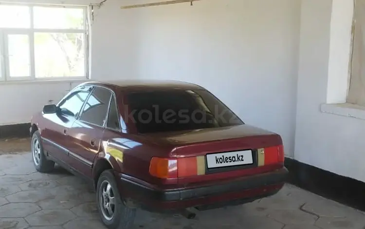 Audi 100 1992 года за 1 300 000 тг. в Шу