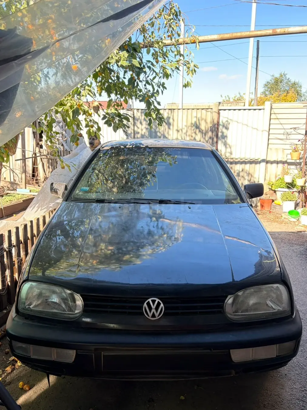 Volkswagen Golf, 1993