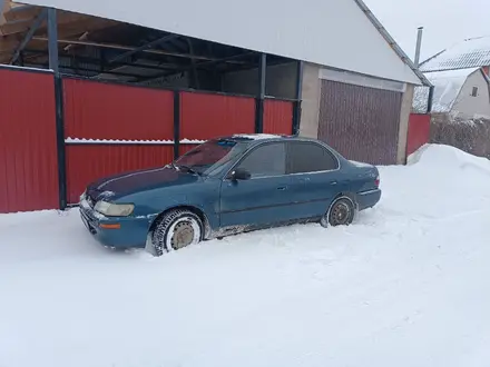 Toyota Corolla 1995 годаүшін1 000 000 тг. в Актобе – фото 6