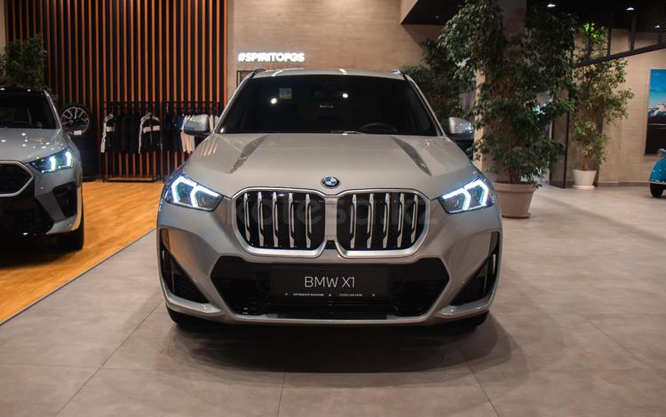 BMW X1 — миниатюра 2